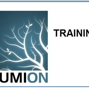 Lumion Training